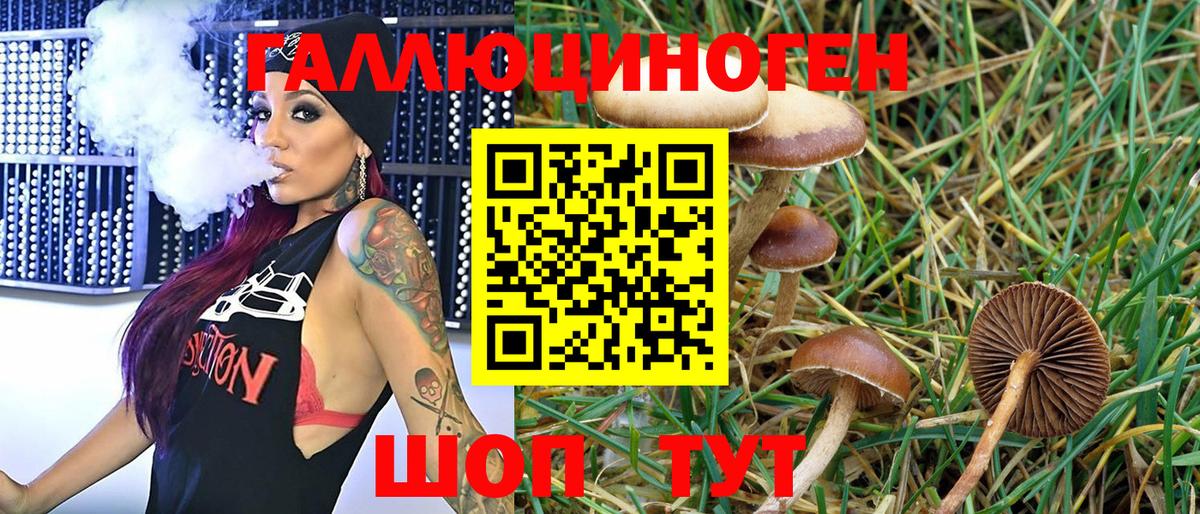 Псилоцибиновые грибы Magic Shrooms Павловский Посад